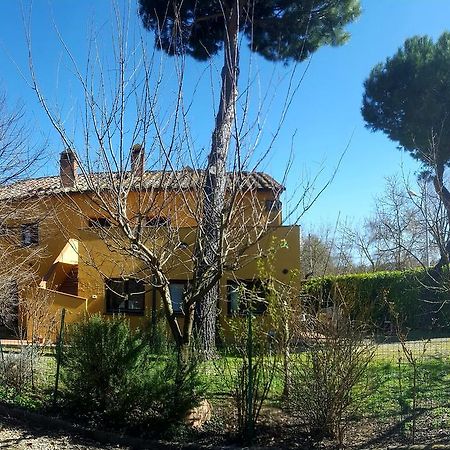 阿雷佐Agriturismo La Cella别墅 外观 照片