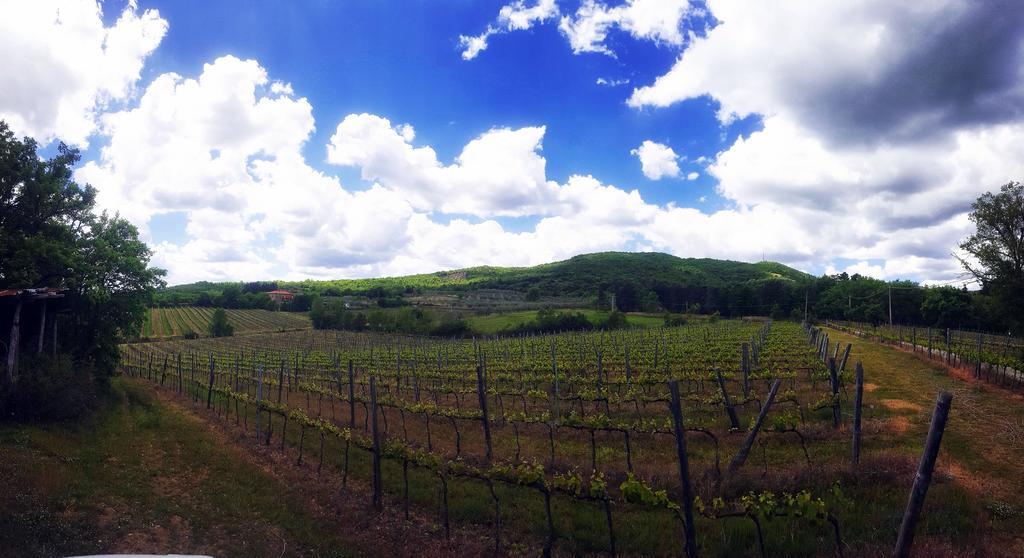 阿雷佐Agriturismo La Cella别墅 外观 照片