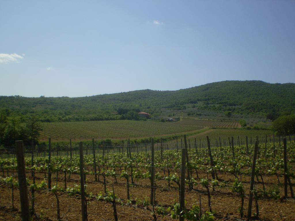 阿雷佐Agriturismo La Cella别墅 外观 照片